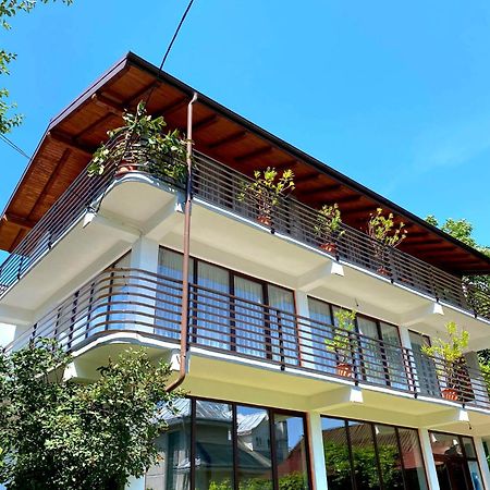 Casa Ionut Hotel Borsa  Kültér fotó
