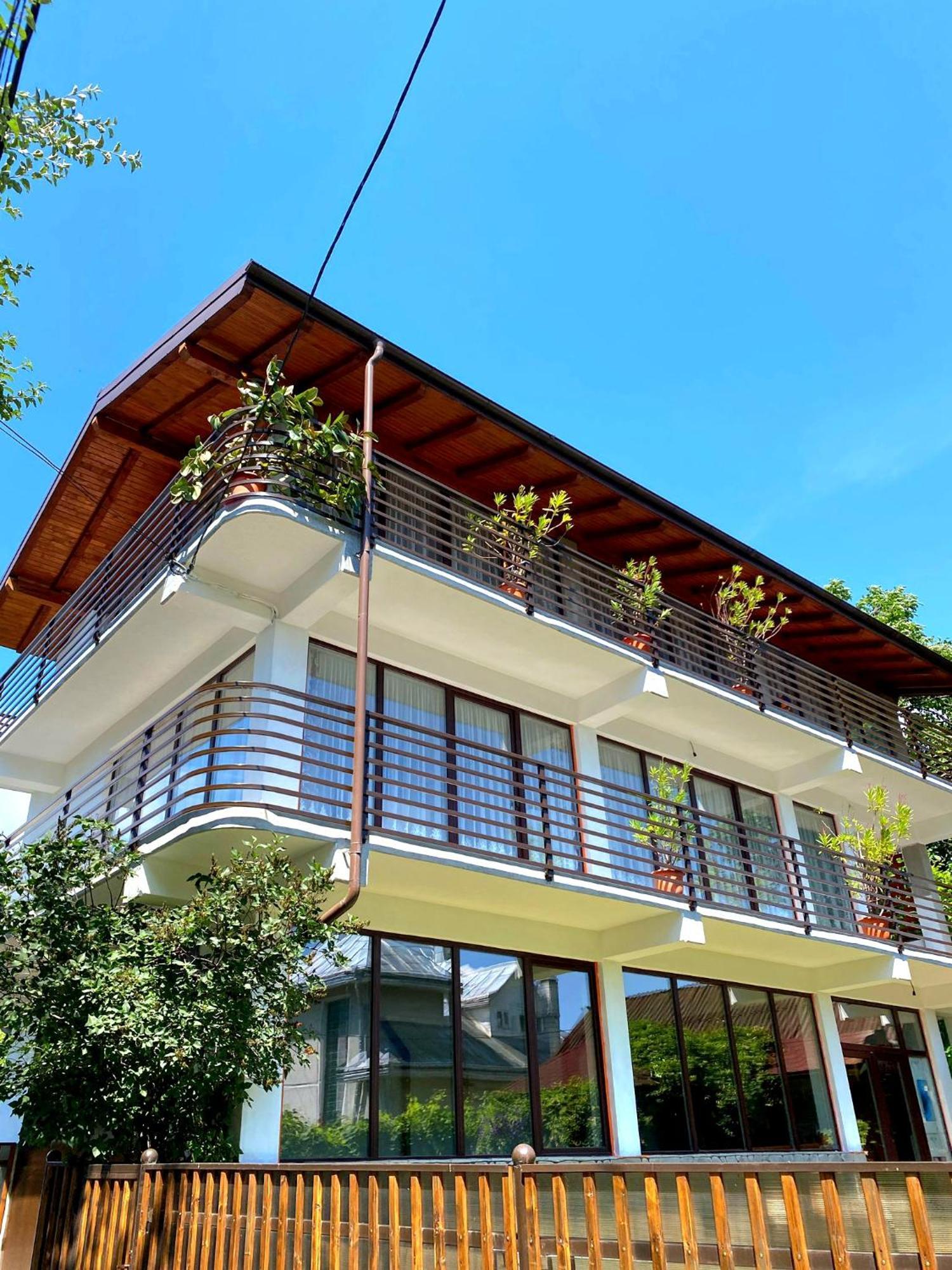 Casa Ionut Hotel Borsa  Kültér fotó