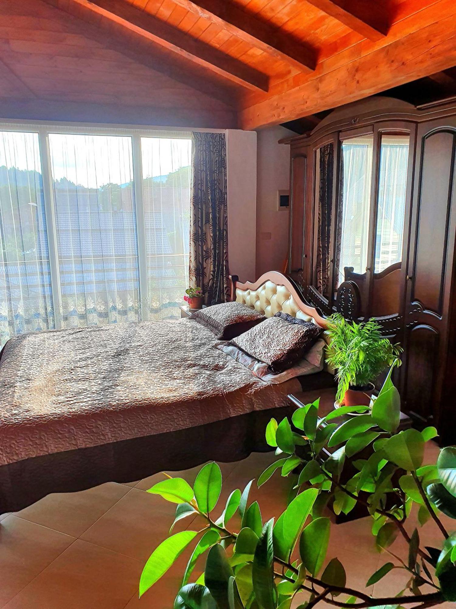 Casa Ionut Hotel Borsa  Kültér fotó