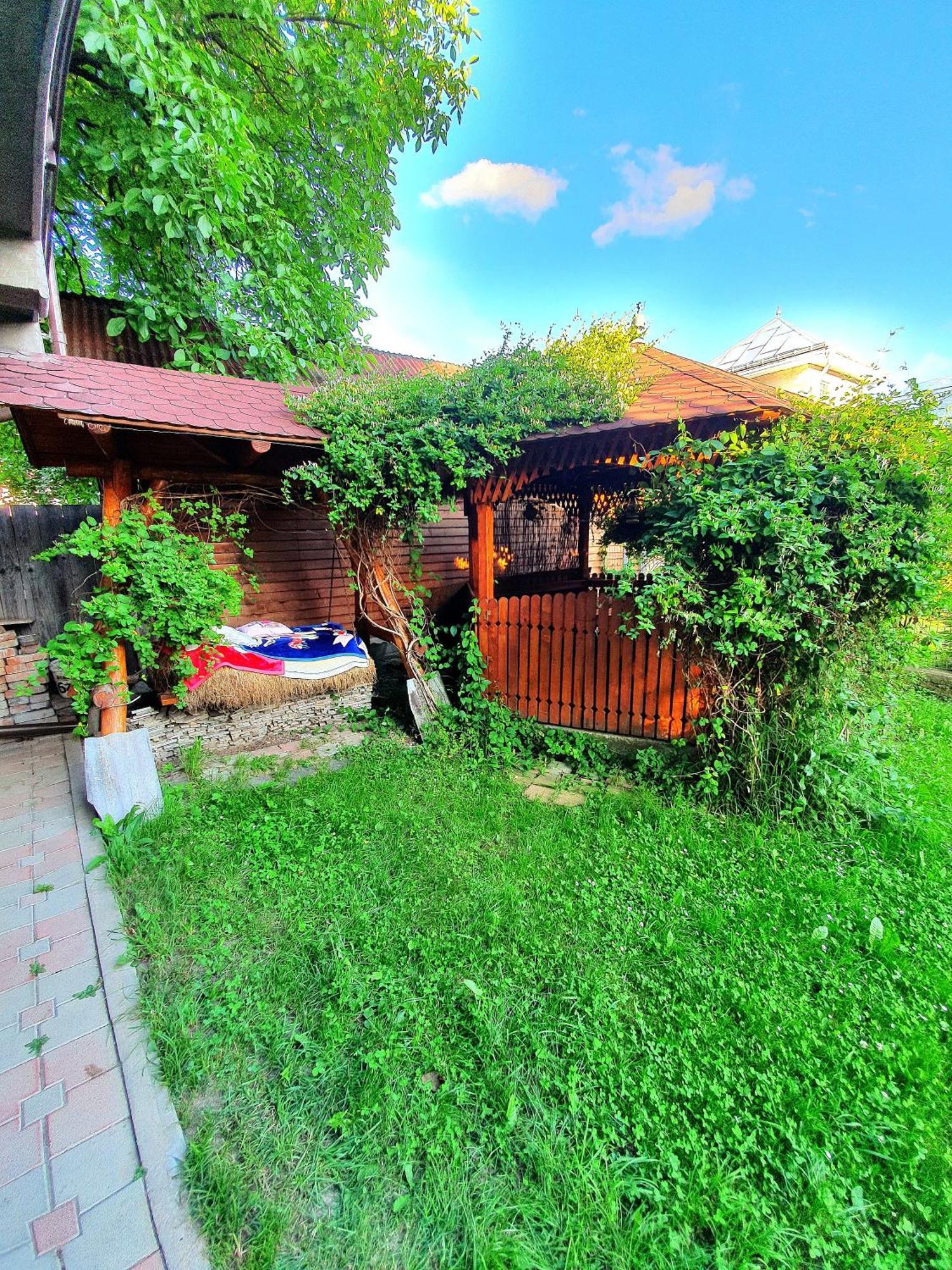 Casa Ionut Hotel Borsa  Kültér fotó